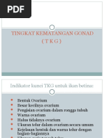 Download Tingkat Kematangan Gonad by achmad_nurdin SN53758702 doc pdf