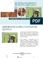 Problemas Fitosanitarios en Cultivo Organico de Quinua II