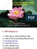 Tiem Nang Sen