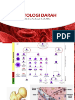 Sitologi Darah