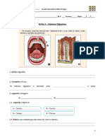Ficha 2_Sistema Digestivo
