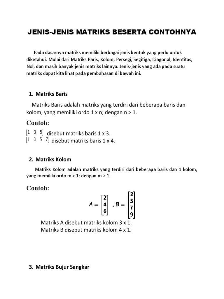 Jenis-Jenis Matriks dan Contohnya | PDF