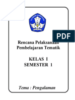 RPP Pengalaman