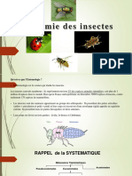 Cours Anatomie Externe L3 Entomologie