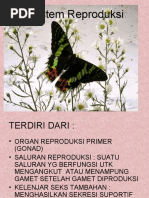 Download SISTEM REPRODUKSI by Diditz Putera Bangsa SN53762839 doc pdf