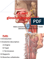 6.1 Le Glosso-Pharyngien
