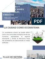 La ciudad como ecosistema y perturbaciones ambientales urbanas