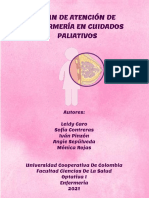 Revista de Cuidado Paliativo Optativa