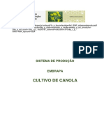 Cultivo Canola Embrapa