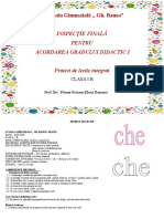 clr_proiect_grad_i_inspectie_finala