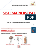 Sistema Nervoso Central 1 ª Etapa