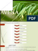 Avena (Sativa)