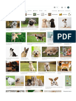 Imagenes Perros - Búsqueda de Google