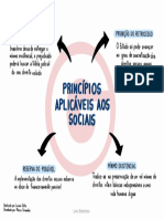 Principios Aplicaveis Aos Sociais