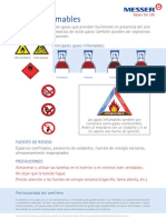 Gases Inflamables