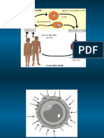 Biología Forense Parte 3