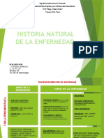 Historia Natural de La Enfermedad - Diogenes2