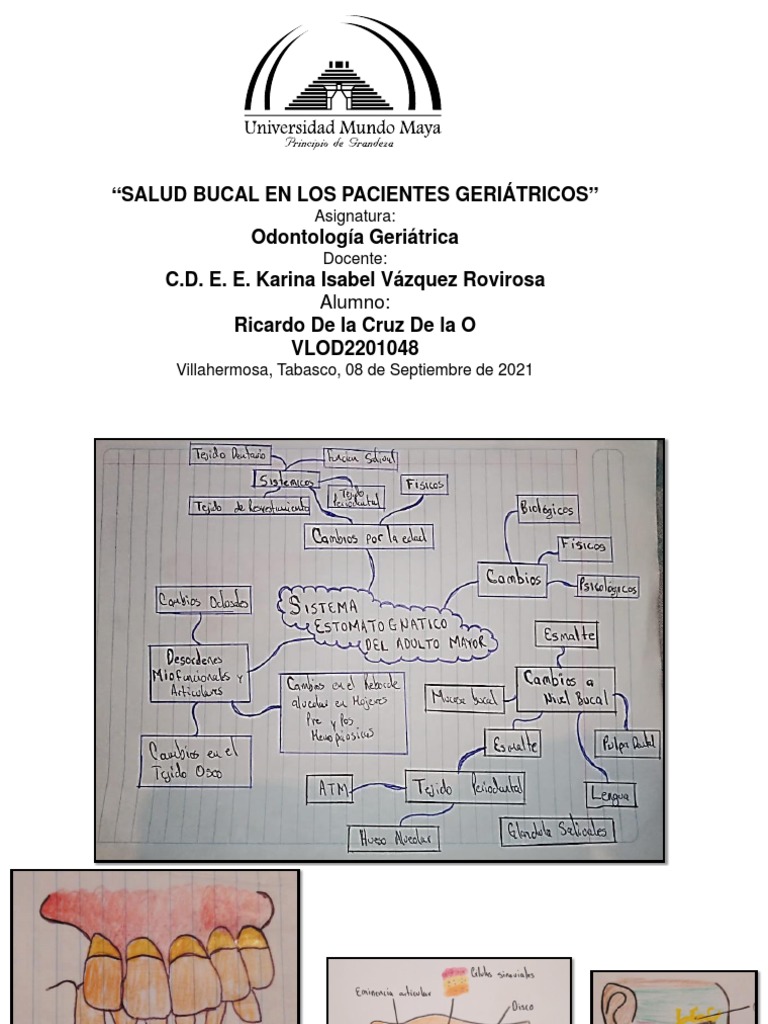 Salud Bucal en Adultos Mayores | PDF | Relaciones personales, crianza y ...
