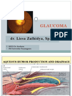 Dr. Liesa Zulhidya, SP.M: Glaucoma