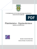 Manual Platelmintos- Equinodermos