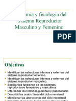 Anatomía y Fisiología Del Sistema Reproductor Masculino y Femenino