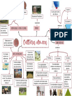 Cultura Olmeca (Mapa Mental)