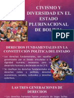 Civismo y Diversidad en El Estado Plurinacional