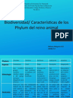 Biodiversidad/ Características de los Phylum del reino animal