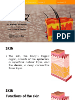 Integumentary System (Skin) : Dr. Mustafa AZ Ahmed