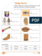 Au MFL 2548556 My Body Differentiated Worksheets Indonesian - Ver - 4