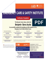 Emergency Care & Safety Institute: Benjamin Barra Acuña