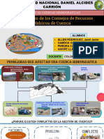 Conformación de los Consejos de Recursos Hidricos de Cuenca