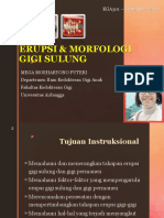 Morfologi Erupsi Gigi Sulung
