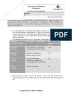 Indicaiones de Ensayos