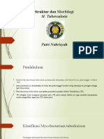 Struktur Dan Morfologi M.TB PN