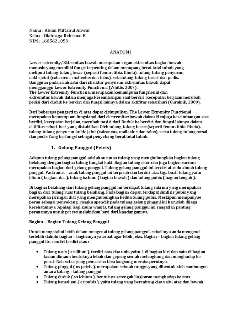 Anatomi Abian M A Pdf