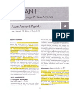 Bab 3. Asam Amino & Peptida