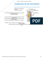 UD 2 - Localización de Las Estructuras Anatómicas