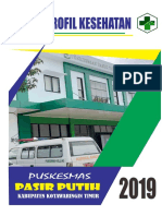 Profil PKM PP 2019 PDF