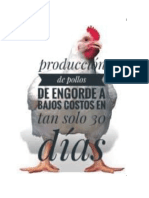 Produccion de Pollos de Engorde de Manera Sostenible y Amigable Con El Medio Ambiente-1