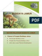 Budidaya Jamur 1