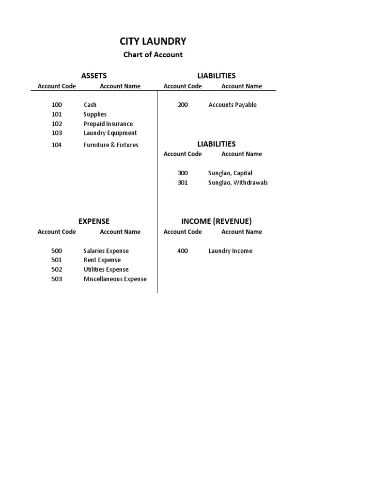City Laundry Chart of Account Assets Liabilities PDF Expense