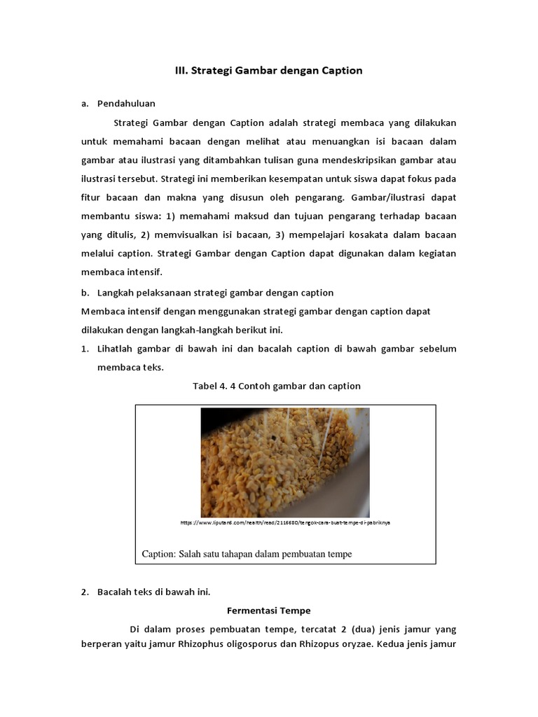 Visualizing the Fermentation Process of Tempeh Production PDF