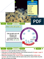 The Cell Cycle, Mitosis, Meiosis, Fertilization Explained