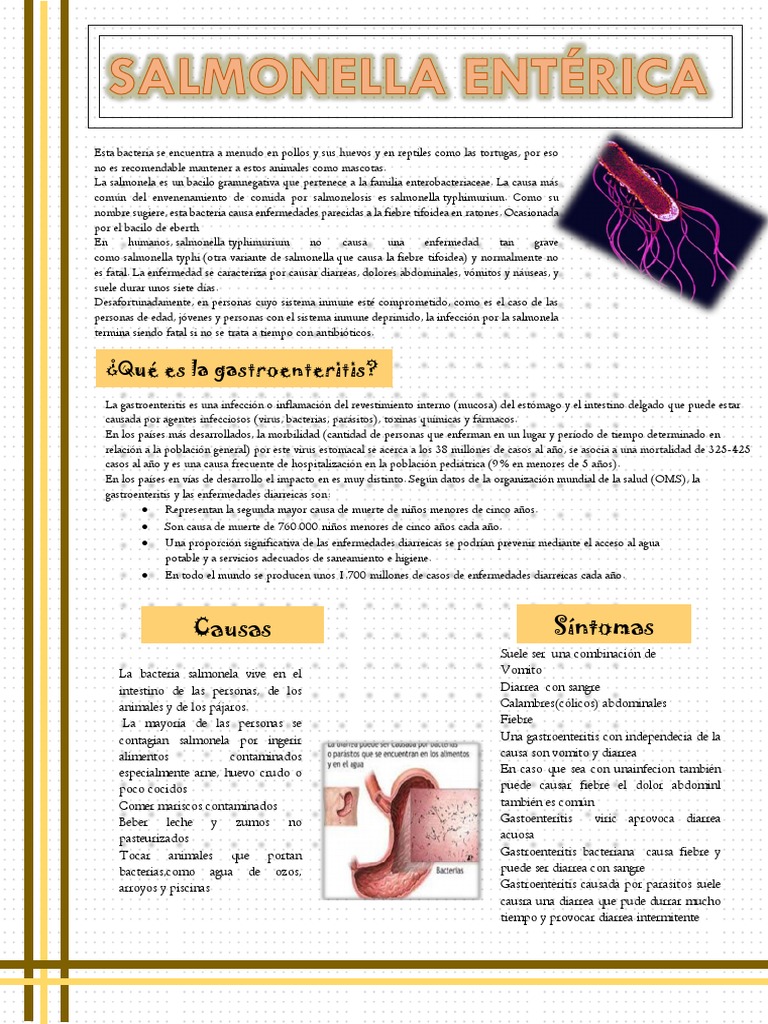 Salmonella Enteri | PDF | Salmonela | Diarrea
