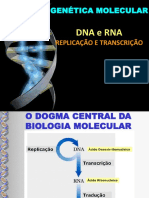 3o_ano_DNA_RNA_Transcrição_Replicação