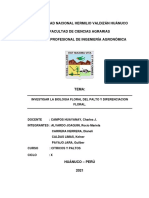 Informe Grupo N°01 Biología Floral Del Palto