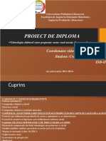 dokumen.tips_licenta-ppt-salam-de-sibiu
