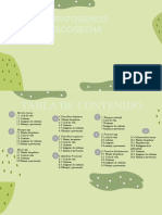 Plantilla de PPT - Cactusjj