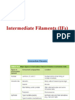 Intermediate Filaments (Ifs)
